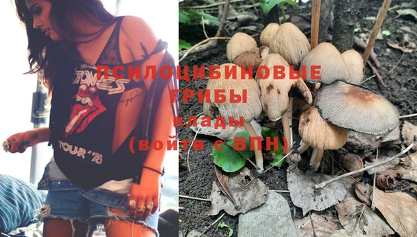 эйфоретик Алексеевка